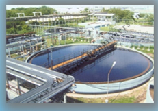 stp plant